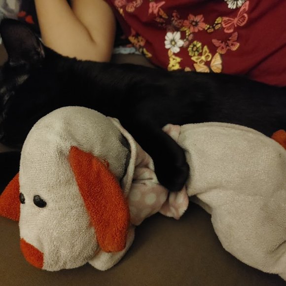 ISO NFS Pink puppy stuffie with red ears *** NFS Do not buy - Picture 3 of 4